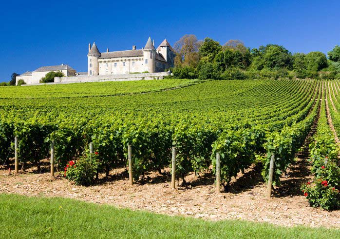 A landscape shaped by old castles and palaces in the midst of wine growing regions